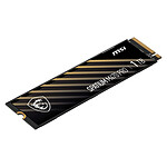 MSI Spatium M470 1 To
