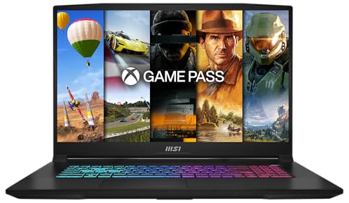 MSI Katana 17, 43,9 cm (17,3 Pouces), FHD, 144 Hz, Intel Core i7-13620H, 2 x 8 Go RAM, 1 to SSD, RTX 4060 8 Go, Windows 11 Home, Clavier QWERTZ, Noir, B13VFK-269
