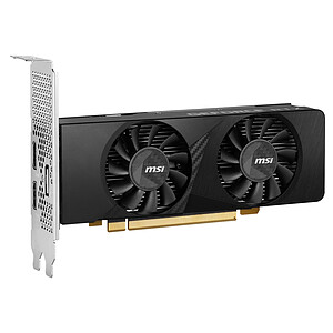 MSI GeForce RTX 3050 LP 6 Go OC
