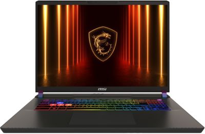PC Gamer MSI Vector 17 HX AI A2XWJG 008FR
