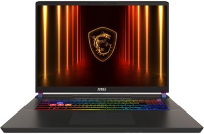 PC Gamer MSI Vector 17 HX AI A2XWHG 218FR
