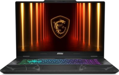 PC Gamer MSI Cyborg 17 B13WFKG 090FR
