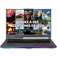 PC portable Asus ROG STRIX G17 G713PI LL044W Grey
