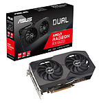 ASUS Radeon RX 6600 DUAL V2 8 Go
