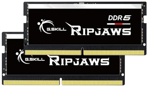 G.Skill RipJaws F5-4800S4039A32GA2-RS Lot de 2 barrettes de mémoire DDR5 262 broches CL40-39-76 1,10 V double canal pour ordinateur de bureau