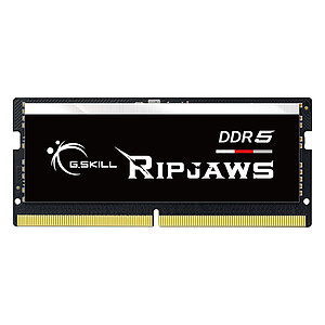 G Skill RipJaws Series SO DIMM 16 Go DDR5 4800 MHz CL40
