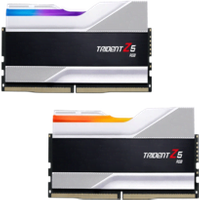 G Skill Trident Z5 48 Go 2 x 24 Go DDR5 7200 MHz CL36 Silver