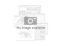 Zyxel Gold Security Pack - licence d'abonnement (2 ans) - 1 licence