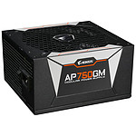 Aorus P750W
