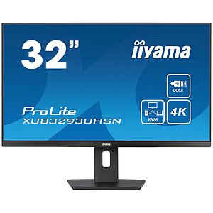 iiyama ProLite XUB3293UHSN B5
