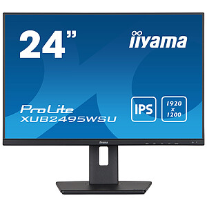 iiyama ProLite XUB2495WSU B5
