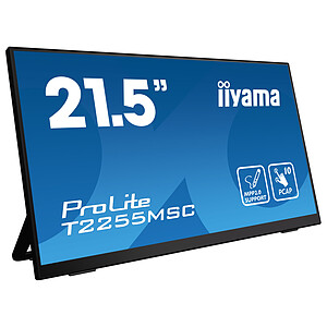 iiyama Tactile ProLite T2255MSC B1

