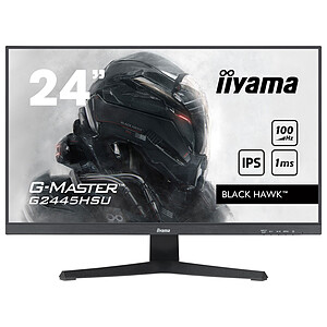 Iiyama iiyama G MASTER A�cran PC 61 cm 24  1920 x 1080 pixels Full HD LED Black