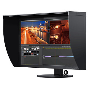 EIZO 31 1 LED ColorEdge CG319X