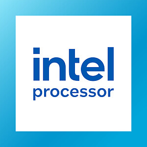 Intel Processor 300