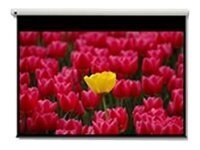 Optoma Optoma Panoview DE-9120EGA - ecran de projection - 120 (305 cm)