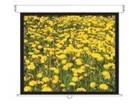 Optoma Optoma Panoview Pull Down Manual DS-3120PMG - ecran de projection - 120 (305 cm)