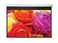Optoma Optoma DS-1095PMG - ecran de projection - 95 (241 cm)
