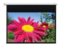 Optoma Optoma EGA series DE-1095EGA - ecran de projection - 95 (241 cm)