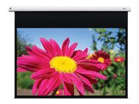 Optoma Optoma DE-1123EGA - ecran de projection - 123 (312 cm)