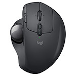 Logitech MX Ergo
