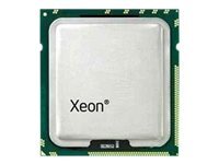 Dell Intel Xeon E5-2620V4 2.1 GHz processeur