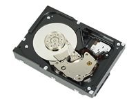 Dell DELL 400-AUST disque dur 3.5 2 To Série ATA III