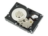 Dell Dell - disque dur - 300 Go - SAS 6Gb s