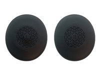 GN AUDIO EVOLVE2 65 FLEXEARCUSHION 1