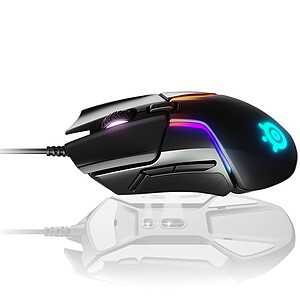 SteelSeries Rival 600
