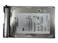 Hewlett Packard Enterprise HPE Dual Port Enterprise - disque dur - 600 Go - SAS 6Gb s