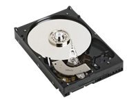 Dell Dell - disque dur - 1 To - SATA 1.5Gb s