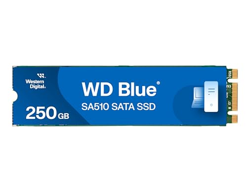 Western Digital WD Blue SA510 250 Go