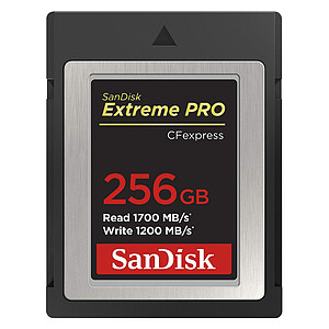 SanDisk Extreme Pro CFexpress Type B 256 Go
