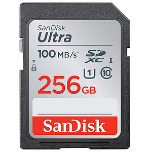 SanDisk Ultra SDXC UHS I U1 256 Go SDSDUNR 256G GN3IN

