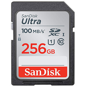 Sandisk SanDisk Ultra 256GB SDXC Mem Card 100MB
