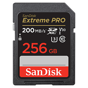 SanDisk Extreme Pro SDHC UHS I 256 Go SDSDXXD 256G GN4IN
