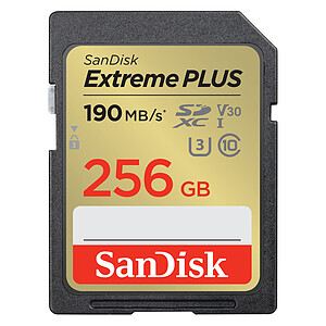 SanDisk Extreme PLUS SDXC UHS I 256 Go
