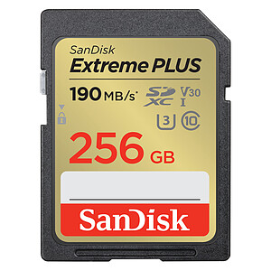 SanDisk Extreme PLUS SDXC UHS I 256 Go