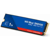 Sandisk 1TB NVMe Gen4 - SN5100 Blue