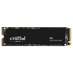 Crucial P3 500 Go
