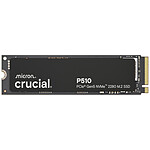 Crucial P510 1 To
