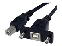 h3c Câble USB B H3C 0.3m Montage sur Panneau Femelle vers Mâle Black