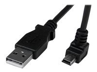 Startech Cable USB à Mini USB 2 m StarTech.com à angle bas USB 2.0 Black