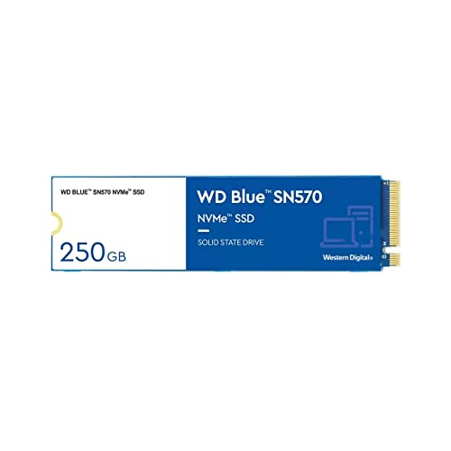 Western Digital SSD WD Blue SN570 250 Go
