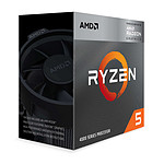 AMD Ryzen 5 4600G Wraith Stealth
