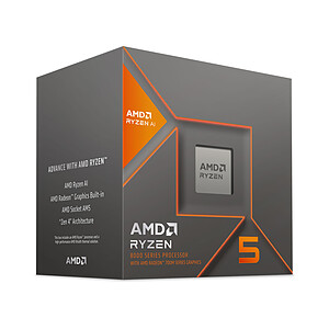 AMD Ryzen 5 8600G
