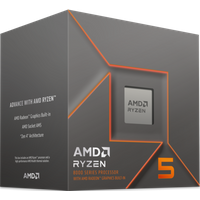 AMD Ryzen 5 8500G Wraith Stealth
