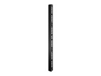 APC - organiseur de cables en rack (vertical) - 42U