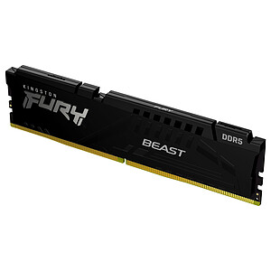 Kingston Kingston Technology FURY Beast module de mA�moire 16 Go 1 x 16 Go DDR5 5200 MHz